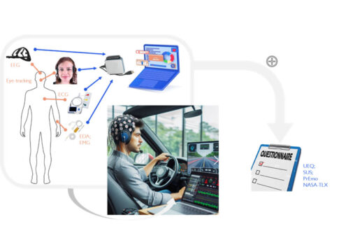 PNG_Neurometrics