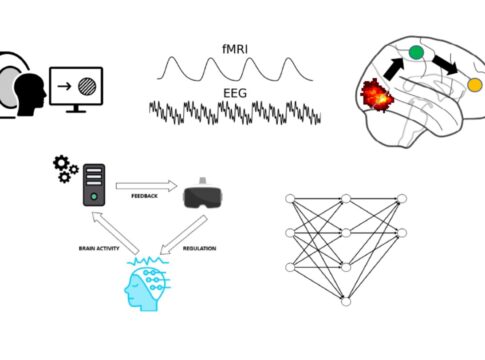 pv-nfb1